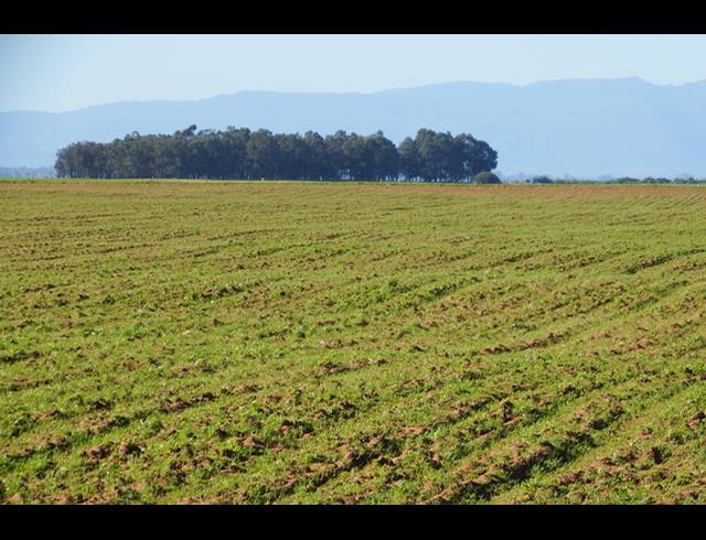 603HA FARM FOR SALE IN HOPEFIELD RURAL